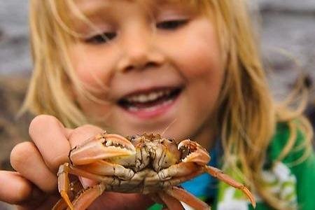 Glatt barn visar upp en krabba