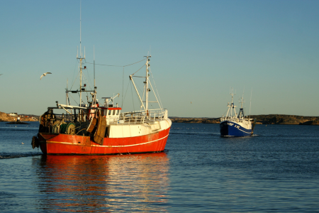 En röd och en blå fiskebåt möts på havet i morgonljus